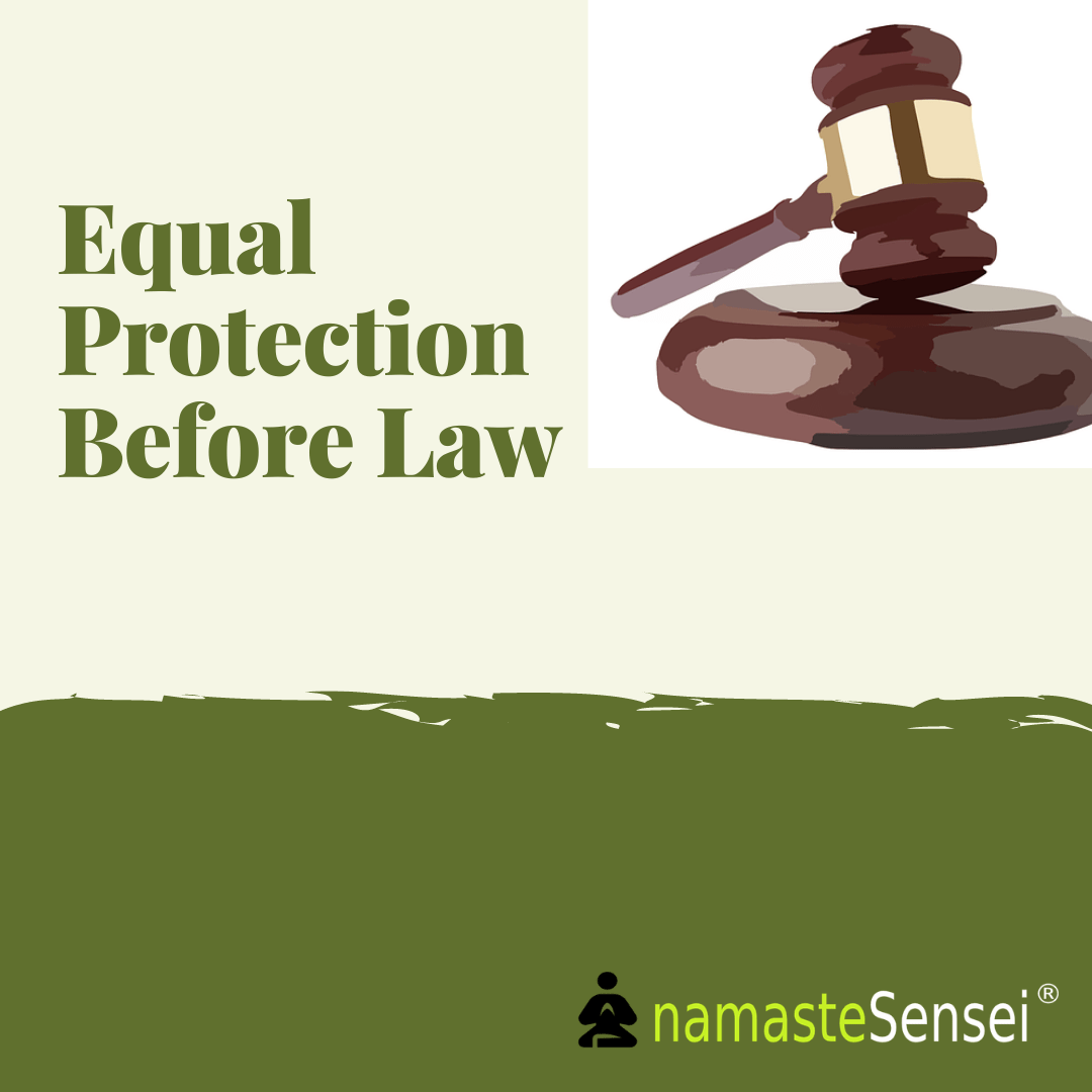 Equality Before Law And Equal Protection Of Law Easily Explained 9298