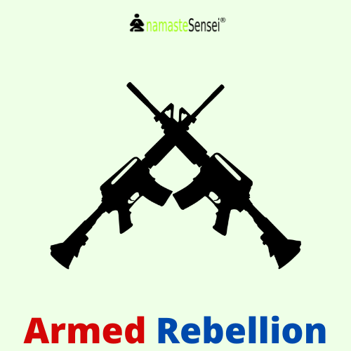 armed rebellion