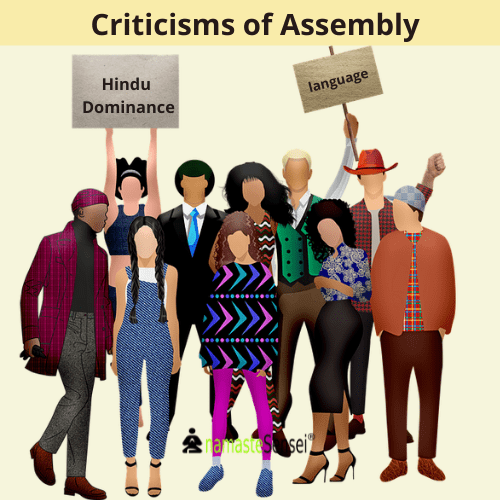 criticisms of constituent assembly