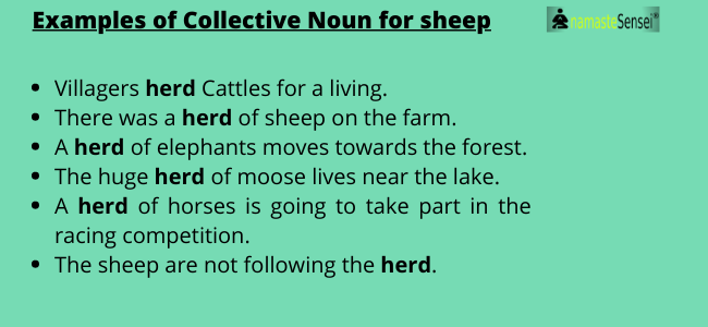 collective noun for sheep examples