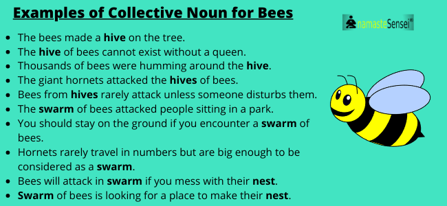 Collective Noun for bees | collective noun of bees