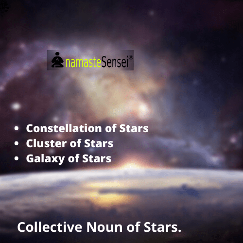 collective noun of stars or collective noun for stars