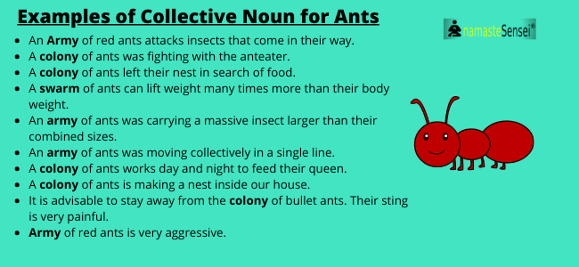 examples of collective noun for ants
