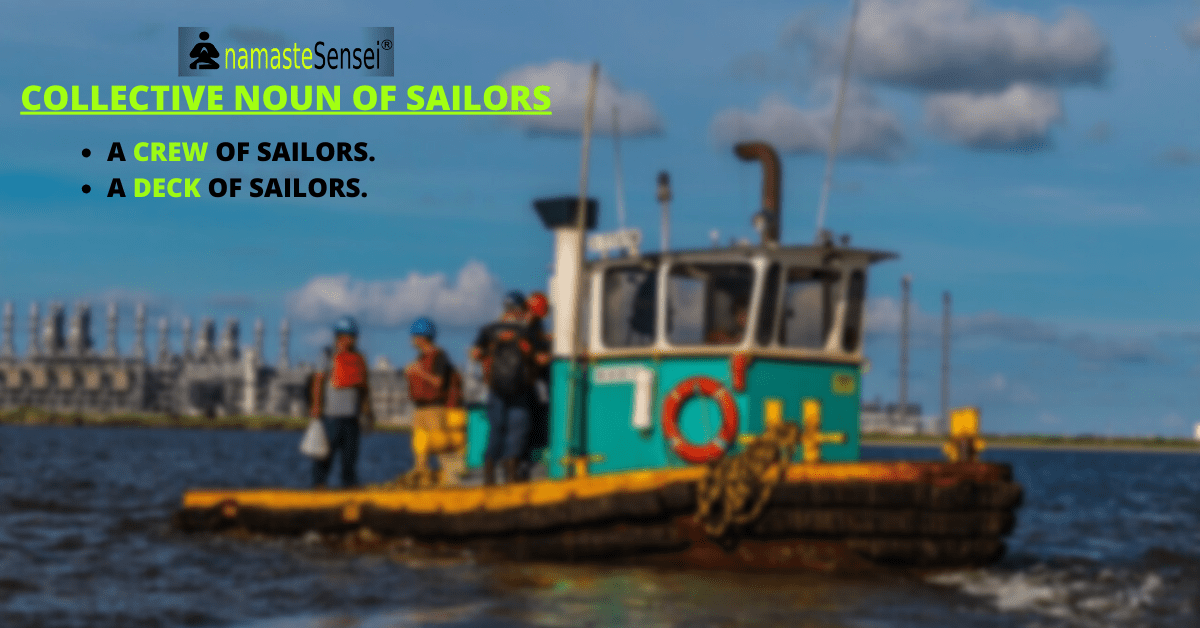 collective noun for sailors featured