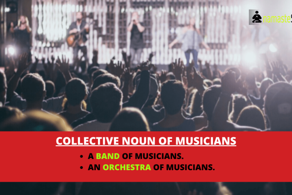collective noun for musicians featured