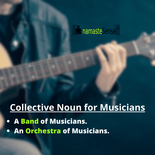 collective noun for musicians or collective noun of musicians