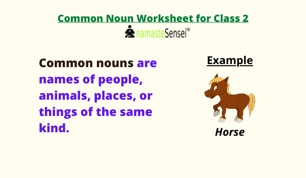 Common noun worksheet for class 2