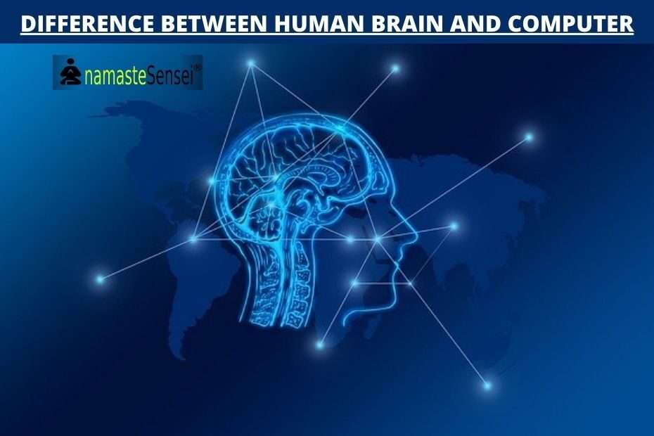 DIFFERENCE BETWEEN HUMAN BRAIN AND COMPUTER featured