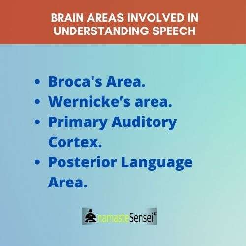 Brain Areas involved in understanding speech