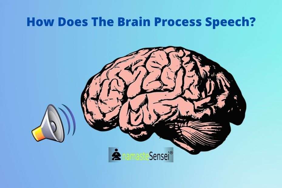 speech on human brain