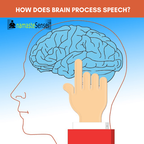How does the Human brain process speech