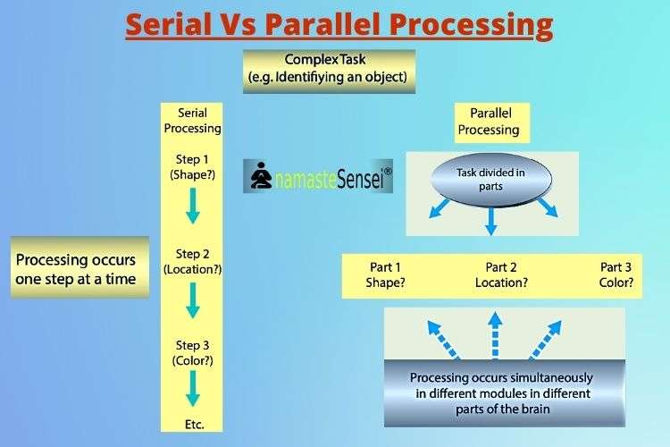 human brain vs computer serial processing and parallel processing