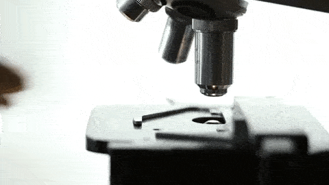 microscope in convex lens