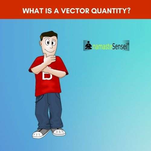 vector quantity meaning | What is a vector quantity?
