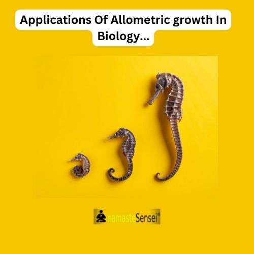 applications of allometric growth | types