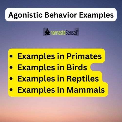 agonistic behavior examples in biology
