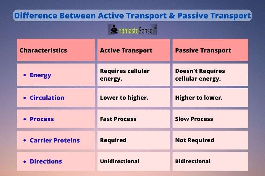 what is the difference between active and passive transport