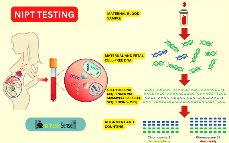 NIPT TESTING IN WOMEN Fetal chromosomal aneuploidy test