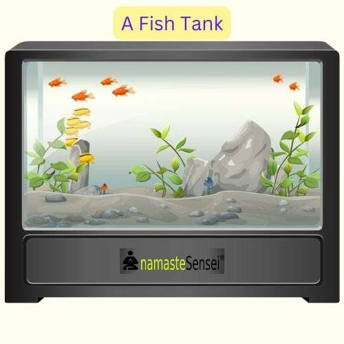 A fish tank closed system example in thermodynamics