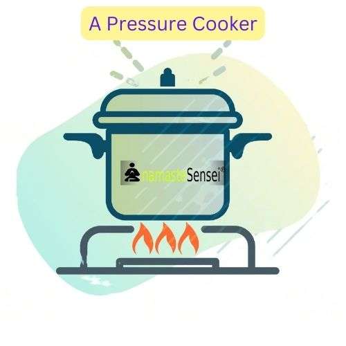 A pressure cooker closed system example