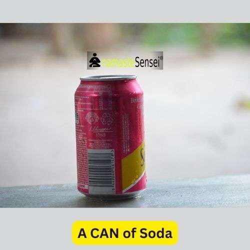 a can of soda
