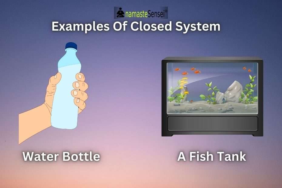 examples of closed system featured