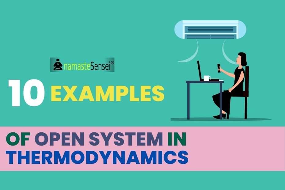 examples of open system in thermodynamics