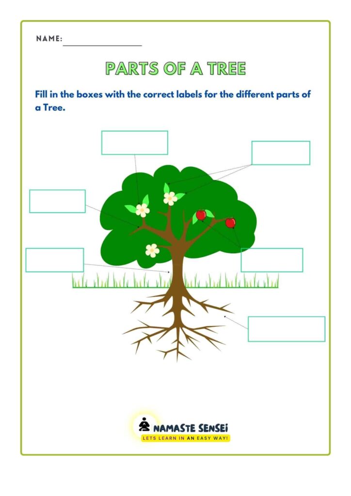 tree labelling worksheet for grade 3