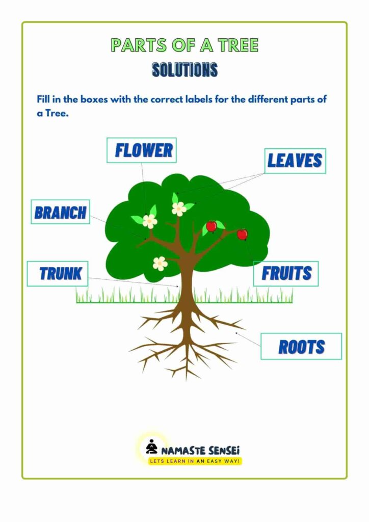 Parts of tree worksheet with answers for kindergarten and preschool