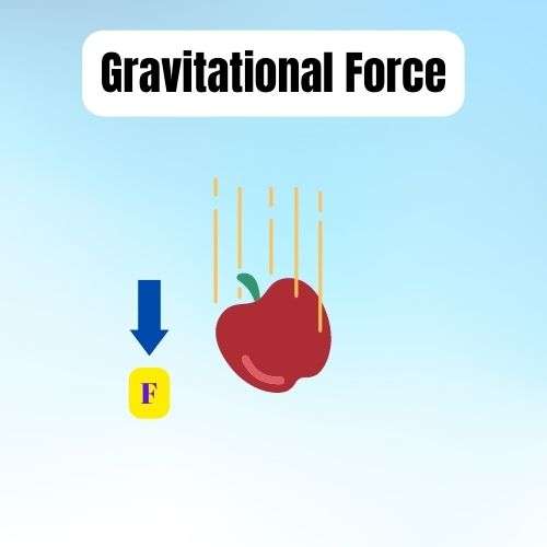what is gravitational force?
