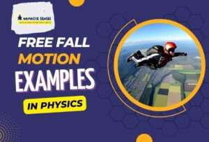 free motion examples in physics and in daily life featured