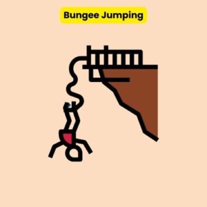 bungee jumping damped oscillation examples